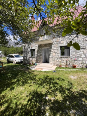 Guesthouse Bujtina Milani
